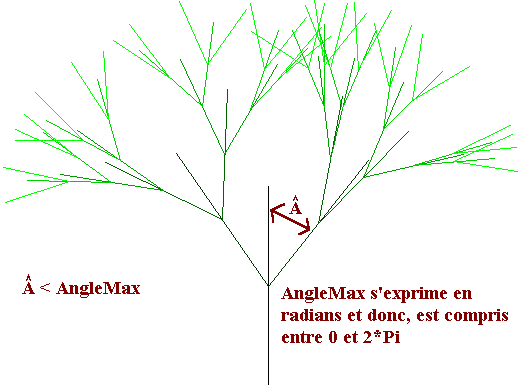 ecplication AngleMax